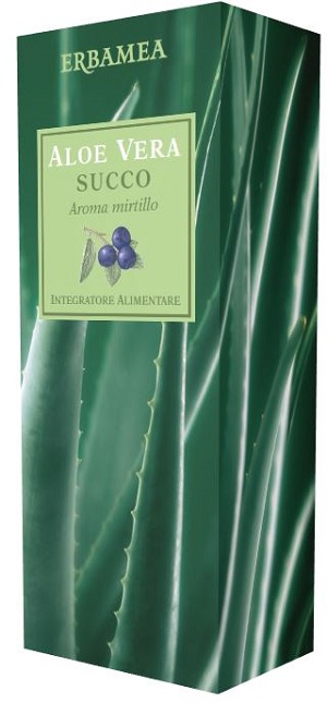 ALOE VERA SUCCO MIRTILLO 500 ML - Farmastop