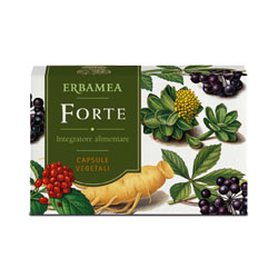 FORTE 24 CAPSULE - Farmastop