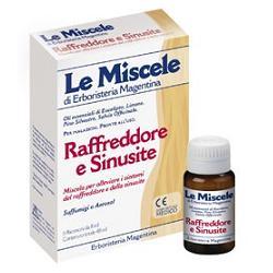 MISCELA RAFFREDDORE & SINUSITE 6 FLACONCINI MONODOSE DA 8 ML - Farmastop