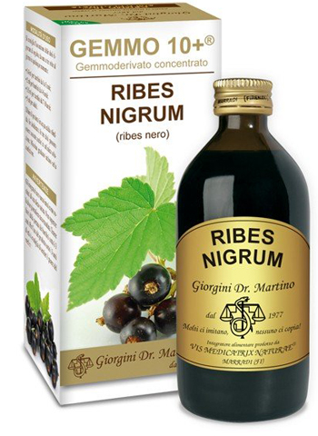 GEMMO 10+ RIBES NERO 200 ML LIQUIDO ANALCOLICO - Farmastop