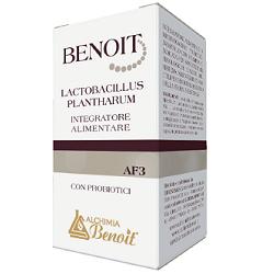 BENOIT LACTOBACILLUS PLANTHARUM 30 CAPSULE - Farmastop