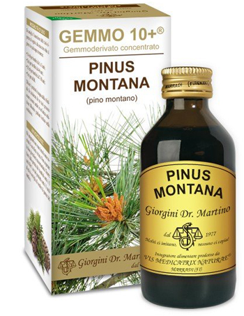 GEMMO 10+ PINO MONTANO 100 ML LIQUIDO ANALCOLICO - Farmastop