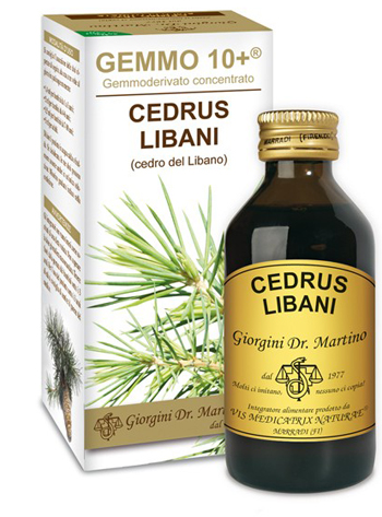 GEMMO 10+ CEDRO DEL LIBANO 100 ML LIQUIDO ANALCOLICO - Farmastop