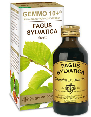 GEMMO 10+ FAGGIO 100 ML LIQUIDO ANALCOLICO - Farmastop