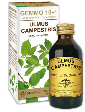 GEMMO 10+ OLMO CAMPESTRE 100 ML LIQUIDO ANALCOLICO - Farmastop