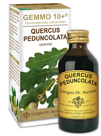 GEMMO 10+ QUERCIA 100 ML LIQUIDO ANALCOLICO - Farmastop