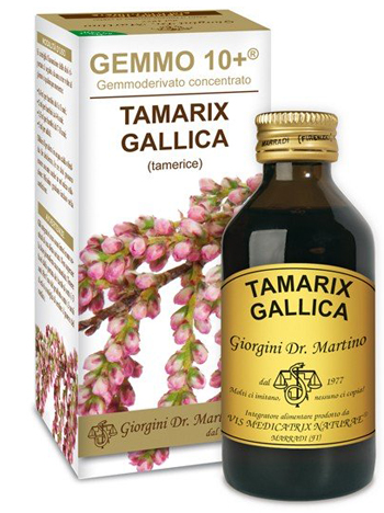 GEMMO 10+ TAMERICE 100 ML LIQUIDO ANALCOLICO - Farmastop
