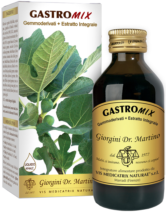 GASTROMIX LIQUIDO ANALCOLICO 100 ML - Farmastop
