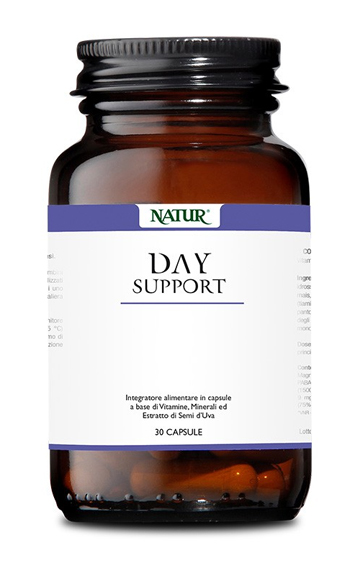 DAY SUPPORT 30 CAPSULE - Farmastop