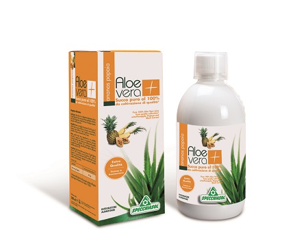 SUCCO ALOEVERA+ ANANAS/PAPAIA 1000 ML - Farmastop