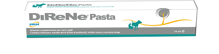 DIRENE PASTA 15 ML - Farmastop