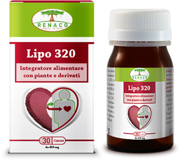 LIPO 320 30 CAPSULE - Farmastop