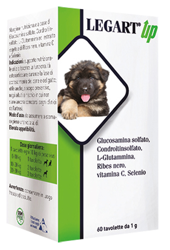 LEGART UP 60 COMPRESSE DA 1 G - Farmastop