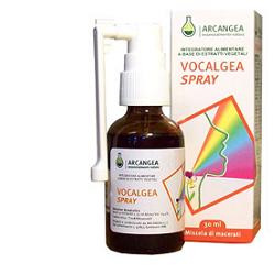 VOCALGEA SPRAY SOLUZIONEN ALCOLICA 30 ML - Farmastop