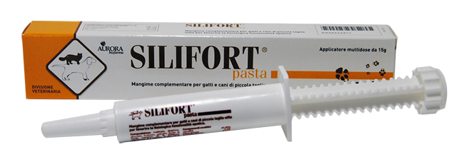SILIFORT PASTA OS SIRINGA 15 G - Farmastop