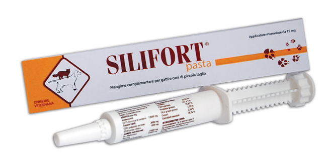 SILIFORT PASTA OS SIRINGA 30 G - Farmastop