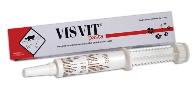 VISVIT PASTA OS SIRINGA 15 G - Farmastop