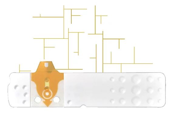 STRISCE MISURAZIONE GLICEMIA LINEA D ORO 25 PEZZI - Farmastop