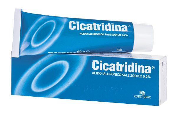 CICATRIDINA POMATA 60 G - Farmastop