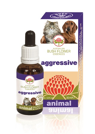 AGGRESSIVE 30 ML - Farmastop