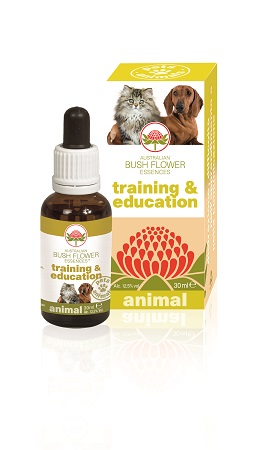 TRAINING & EDUCATION 30 ML - Farmastop