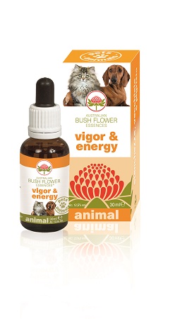 VIGOR & ENERGY 30 ML - Farmastop