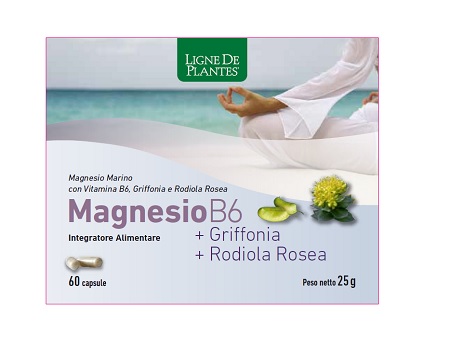 MAGNESIO B6 + GRIFFONIA + RODIOLA 60 CAPSULE - Farmastop