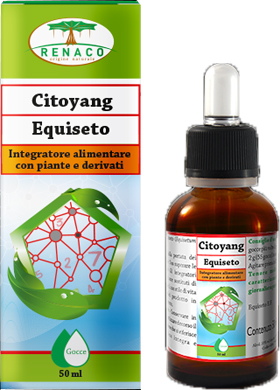 CITOYANG EQUISETO GOCCE 50 ML - Farmastop