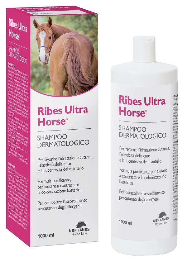 RIBES HORSE ULTRA SHAMPOO DERMATOLOGICO 1 LITRO - Farmastop