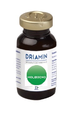 DRIAMIN MOLIBDENO 15 ML - Farmastop