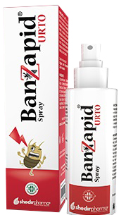 BANZAPID SPRAY TRATTAMENTO 100 ML - Farmastop