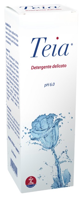 TEIA DETERGENTE CORPO 250 ML - Farmastop