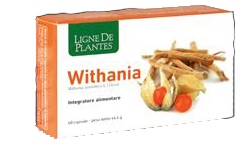 WITHANIA 60 CAPSULE - Farmastop