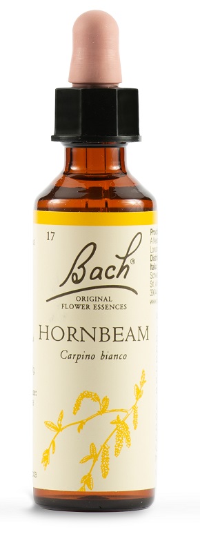 HORNBEAM BACH ORIG 20 ML - Farmastop