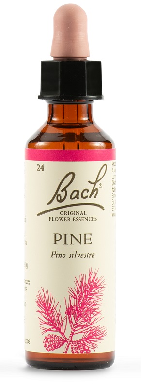 PINE BACH ORIG 20 ML - Farmastop