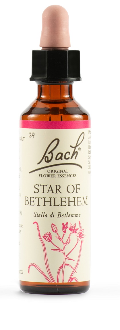 STAR OF BETHL ORIG 20 ML - Farmastop