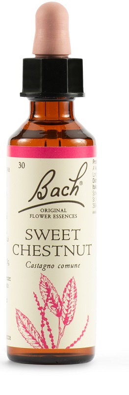 SWEET CHEST BACH ORIG 20 ML - Farmastop