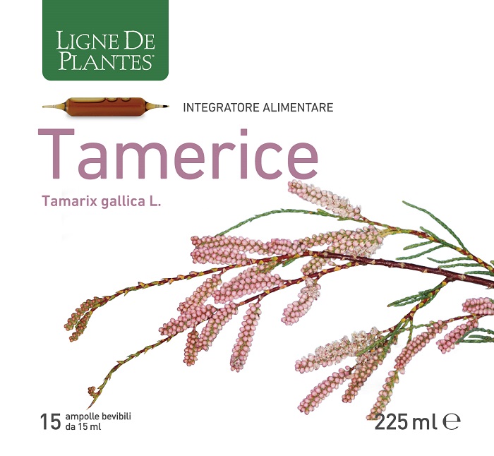 TAMERICE 15 AMPOLLE 15 ML - Farmastop