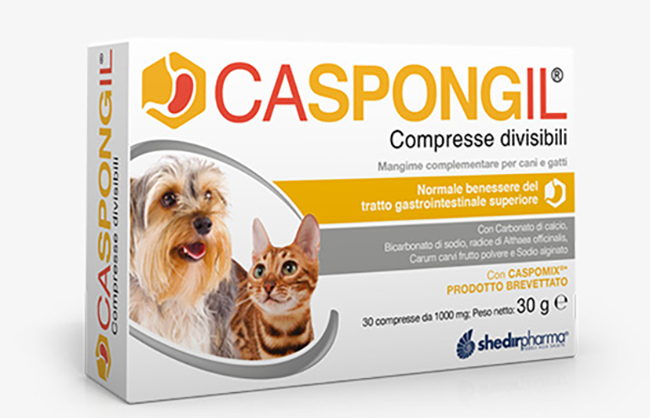 CASPONGIL 30 COMPRESSE DIVISIBILI - Farmastop