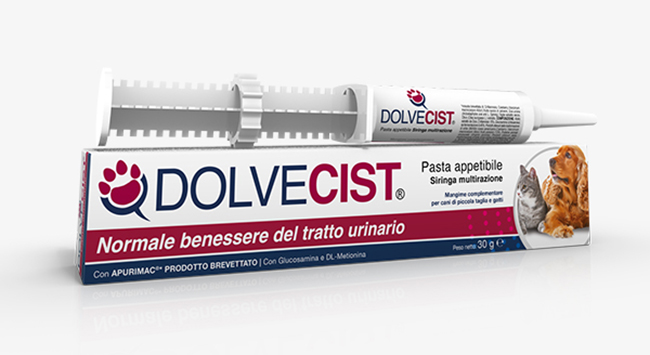 DOLVECIST PASTA SIRINGA 30 G - Farmastop