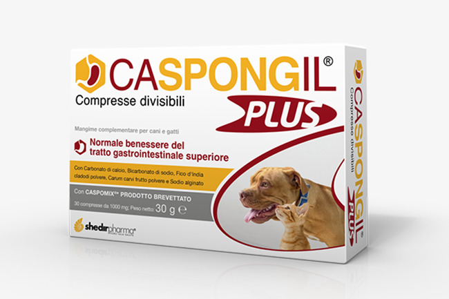 CASPONGIL PLUS 30 COMPRESSE - Farmastop