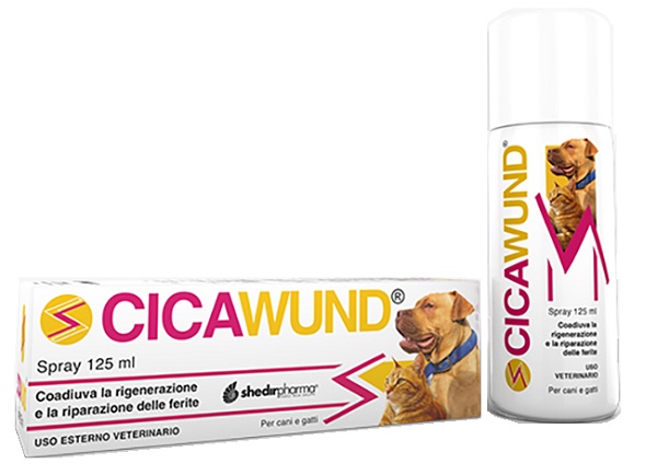 CICAWUND SPRAY 125 ML - Farmastop