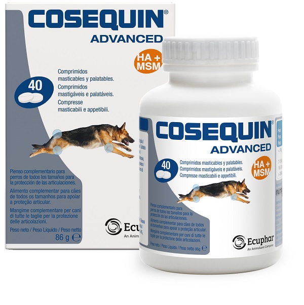 COSEQUIN GATTI 15 CAPSULE - Farmastop
