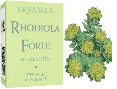 RHODIOLA FORTE 24 CAPSULE - Farmastop
