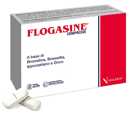 FLOGASINE 20 COMPRESSE - Farmastop