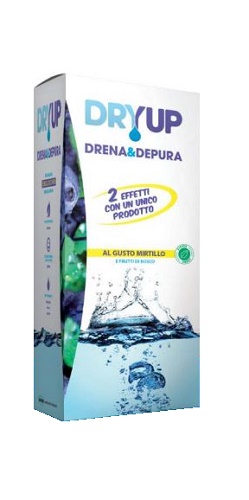 DRYUP MIRTILLO 300 ML - Farmastop