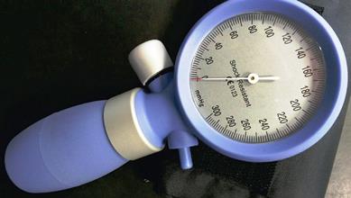 SFIGMOMANOMETRO PALMARE P-200 CON BLUE BRACCIALE 25-36 CM - Farmastop