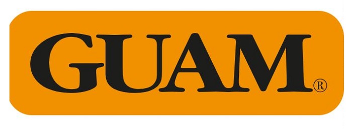 GUAM PANTY VENTRE PIATTO SNELLENTE L-XL 46-50 - Farmastop