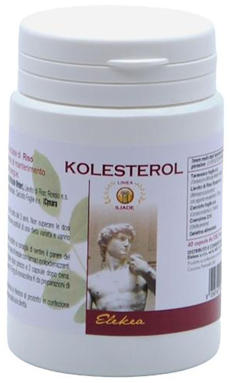 KOLESTEROL 40 CAPSULE - Farmastop