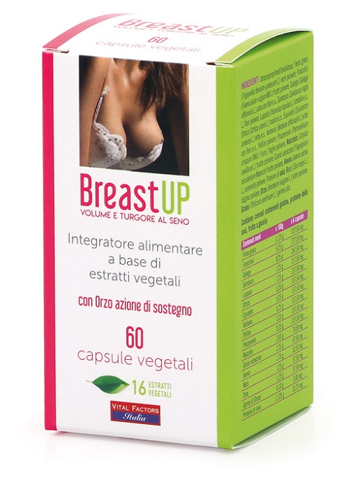 BREAST UP 60 CAPSULE - Farmastop
